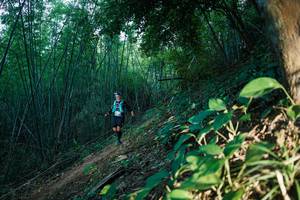 BIB: 
                            <button type="button" onclick="openModal(28124964)" class="btn btn-primary btn-sm float-right btn-popup" data-toggle="modal" data-target=".modal-high-quality">
                        <i class="fas fa-shopping-cart"></i> Add to Cart
                    </button>
                                            <button type="button" onclick="isThisMe(28124964, true)" class="btn btn-success btn-sm float-right btn-popup btn-isme hidden" data-toggle="tooltip" data-placement="bottom" title="นี่คือรูปของคุณใช่ไหม คลิกที่นี่เพื่อเอาเข้าอัลบั้ม">
                        <i class="fas fa-plus"></i> Add to album
                    </button>
                    <button type="button" onclick="isThisMe(28124964, false)" class="btn btn-warning btn-sm float-right btn-popup btn-isnotme hidden">
                        <i class="fas fa-ban"></i> Remove from album
                    </button>